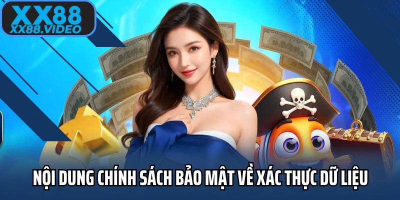 Nội dung chính sách bảo mật về xác thực dữ liệu